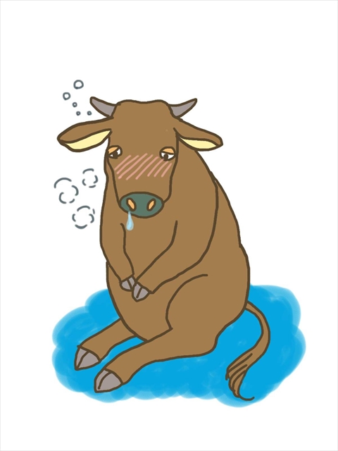 病気になった牛