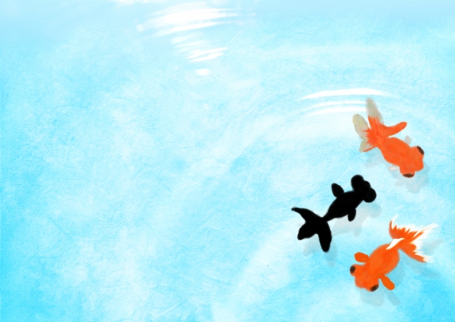 暑中見舞い例文