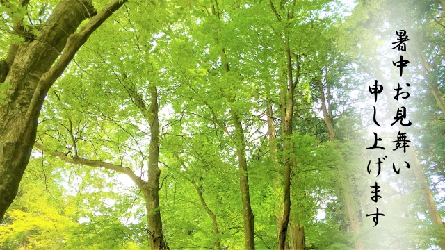 暑中見舞いの時期を伝えるはがき風イメージ
