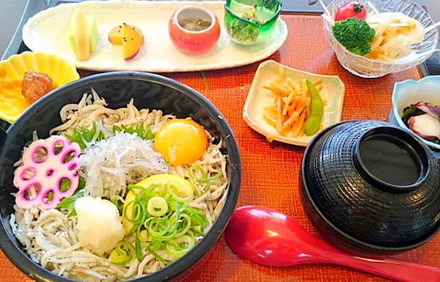 淡路島生しらす丼定食