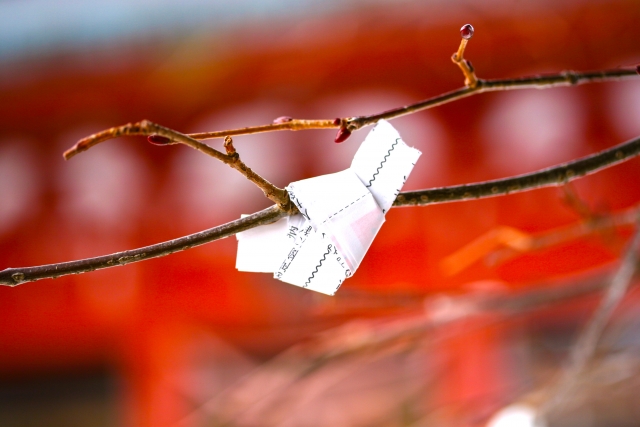 木に結ばれたおみくじ