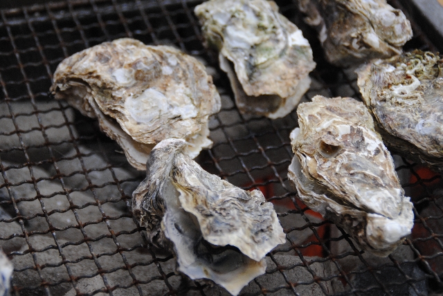 殻付き牡蠣