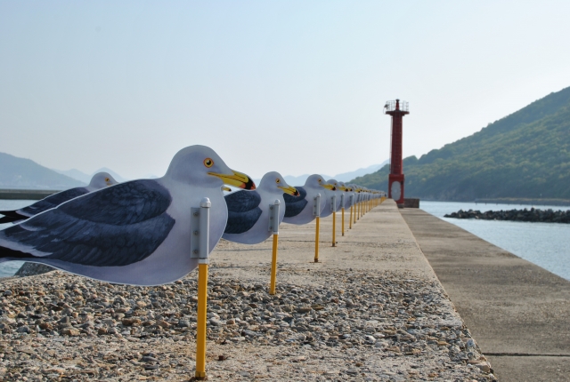 女木島アートのカモメの駐車場